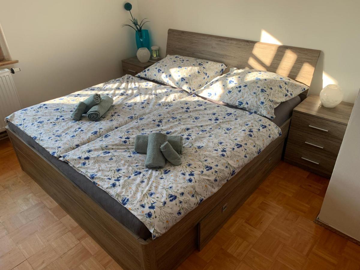 Dvorek Na Spravnem Miste - Salajna 17 Dolni Zandov Extérieur photo